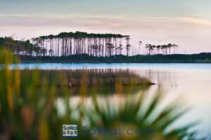 Grayton Beach State Park