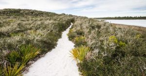 We Share the Beaches Educational Series