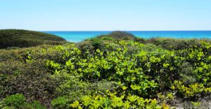 Big Plans For Deer Lake State Park