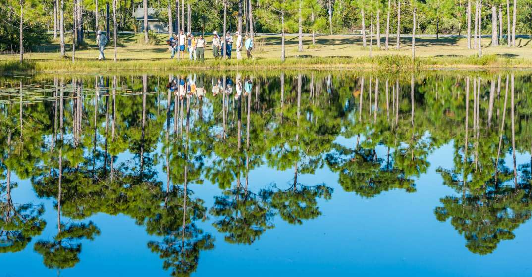 Fall Eco Adventures in Walton County