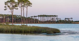 Grayton Beach State Park Named Top Ten Beach