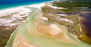 Take a Walk Through Old Florida at Camp Helen State Park