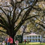 Camellia Festival at Eden Gardens State Park Feb 7