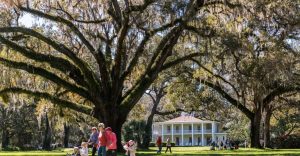 Camellia Festival at Eden Gardens State Park Feb 7