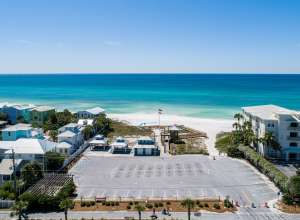 South Walton’s Black Bears Active in the Fall