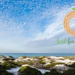 Food For Thought Champions the Fight Against Growing Food Insecurity