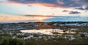 SoWal Style: Classic Grayton Cottage Overlooking State Park Dunes & Gulf