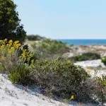 Deer Lake State Park Reopens With Improvements