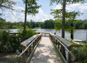 Tales of ‘Creature of Powell Lake’ persist