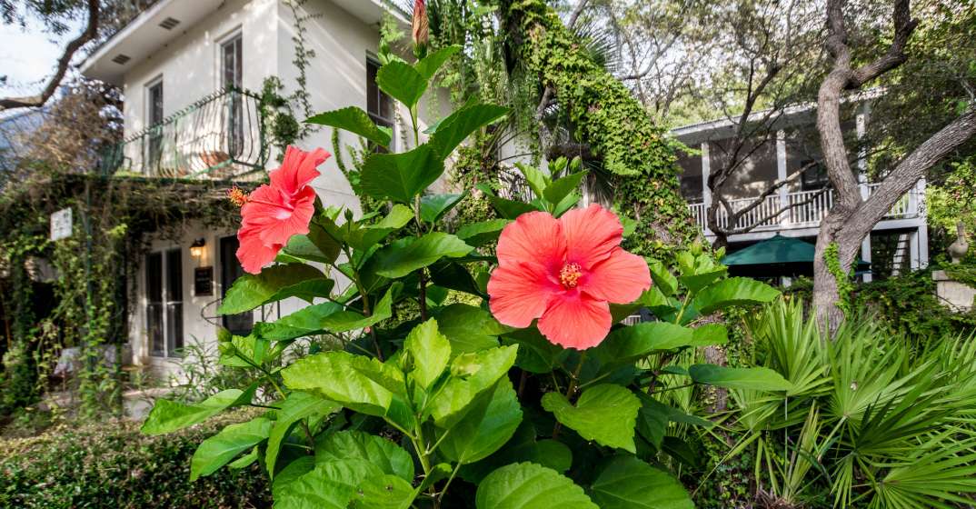 Hibiscus Coffee & Guesthouse is Authentic Grayton Beach