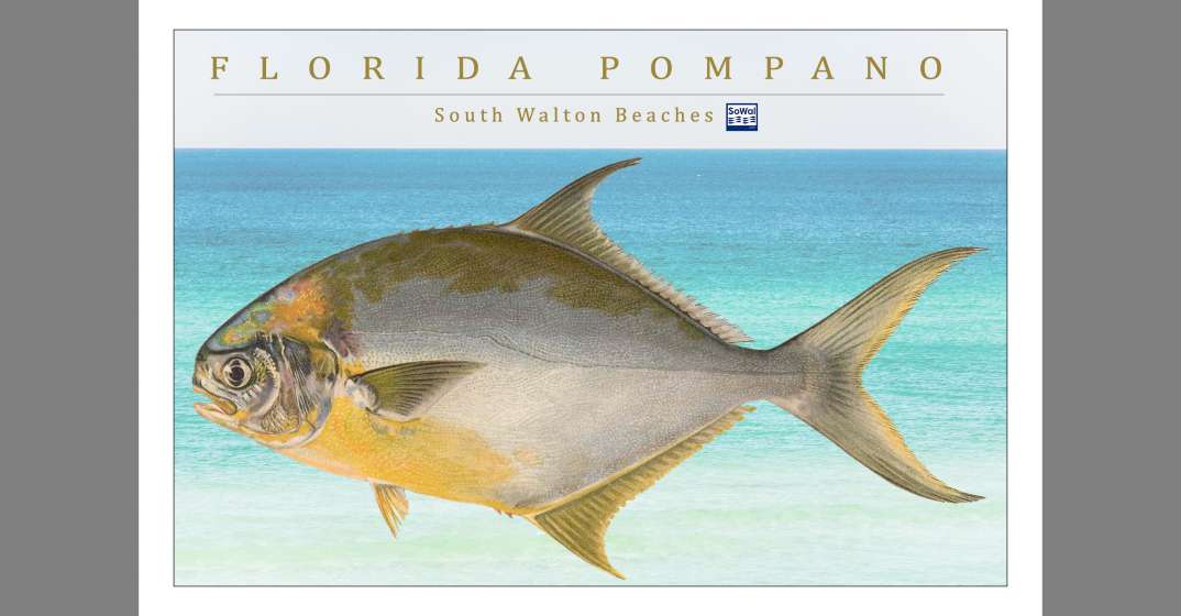 Pompano Fishing on the Beach 1945