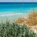 Keep Walton County Beautiful Encourages Action Every Day