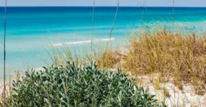Keep Walton County Beautiful Encourages Action Every Day