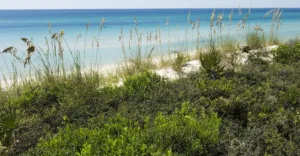 You Are Needed For Post-Fourth of July Neighborhood Cleanup