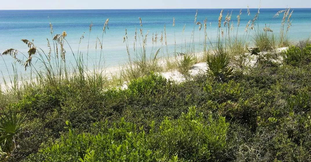 You Are Needed For Post-Fourth of July Neighborhood Cleanup