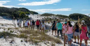 Expert Tour Of The Grayton Beach Dune Lake Trail