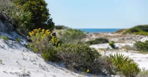 Deer Lake State Park Reopens With Improvements